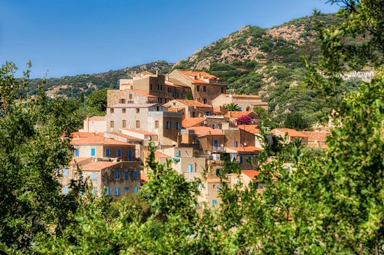 Pigna