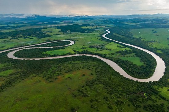 Parc national Palo Verde