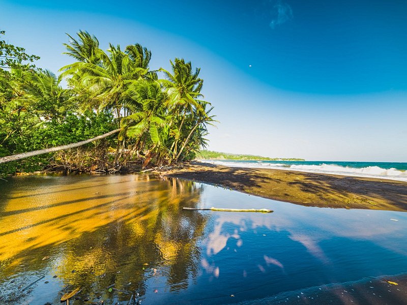 La plage de Grande-Anse