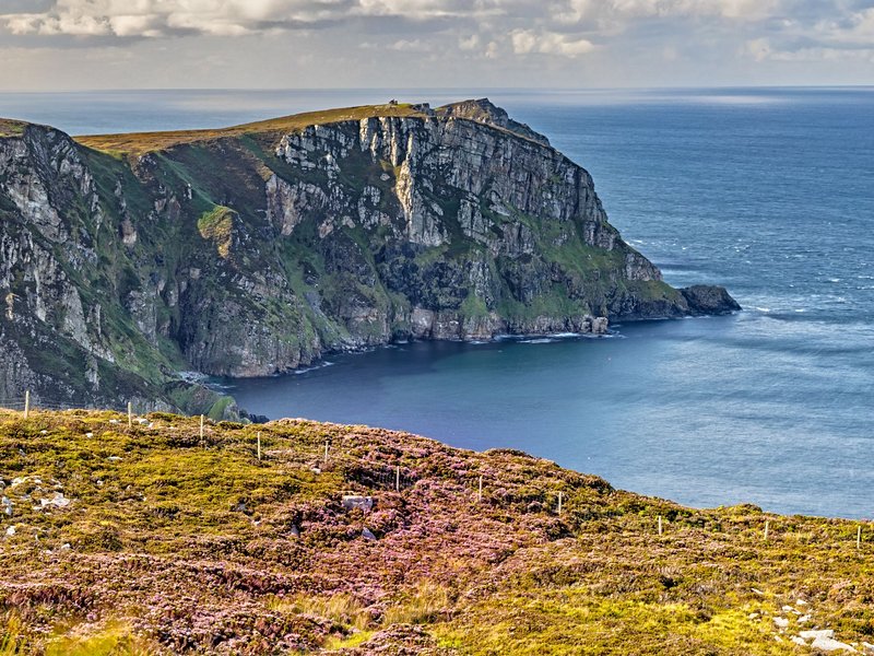 Horn Head, Donegal