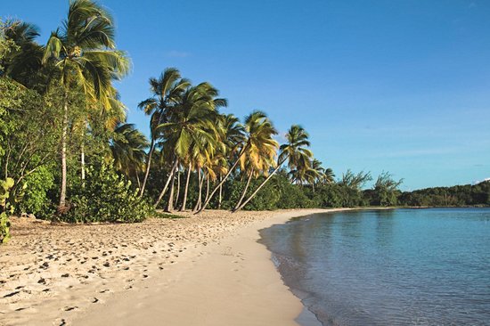 La plage de la Grande Anse des Salines