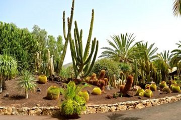Jardin botanique de Fuerteventura