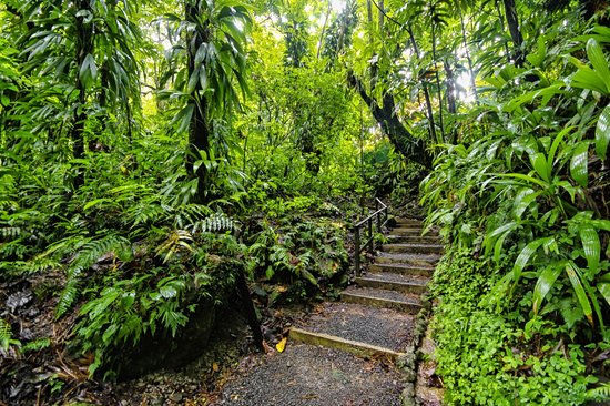 Parc national de Morne Trois Pitons