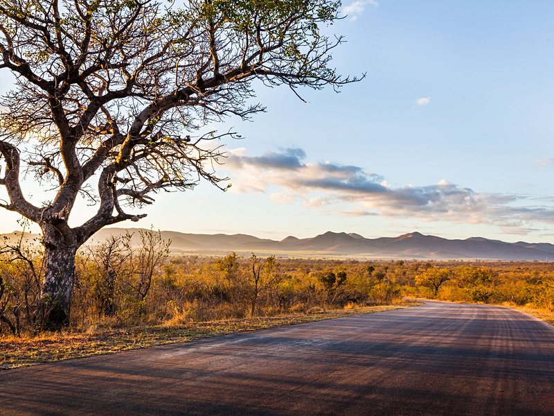 Parc national Kruger