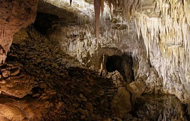 Les grottes de Waitomo
