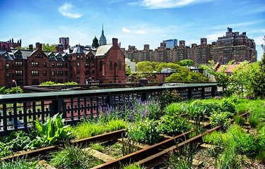 Les jardins de la High Line