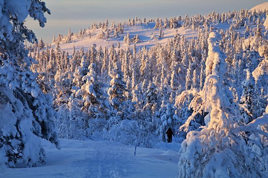 Parc national de Pyhä-Luosto
