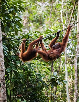 Les plus beaux lieux de Sumatra