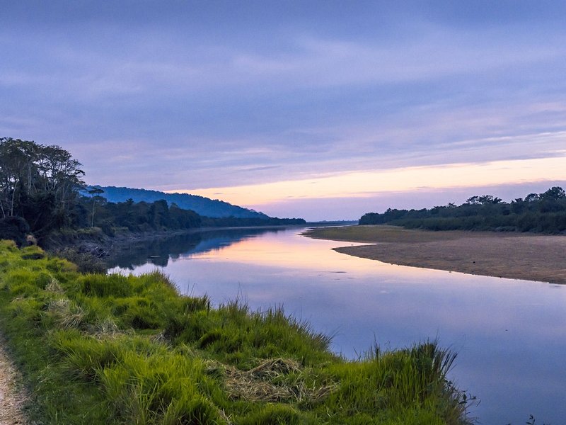 Kaziranga National Park