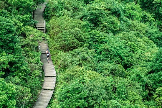 Île de Lantau