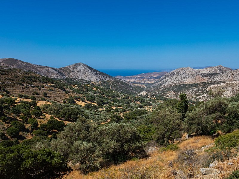 Naxos