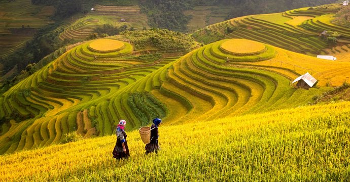 Vietnam