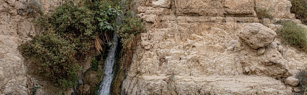 La balade désertique : Nahal David