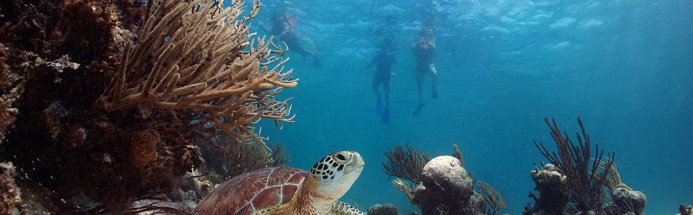 Akumal