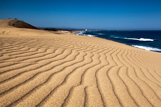 Dunes de Tottori