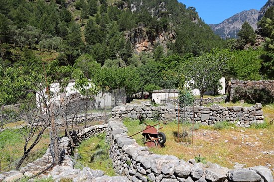 Ancien village de Samaria