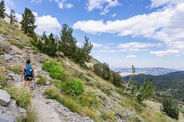 Western States - Etats-Unis