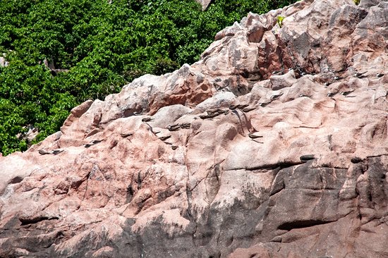 Baie Ternay Marine National Park