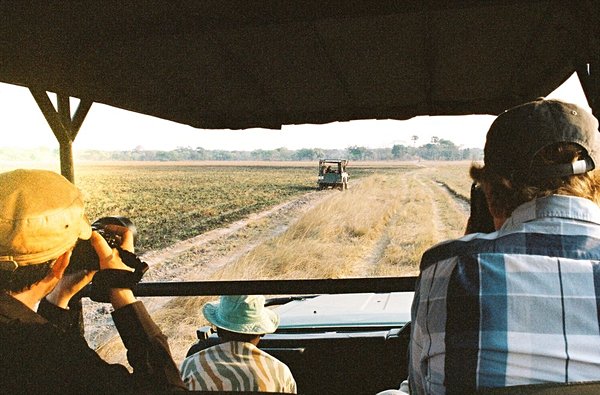 safari Zambie