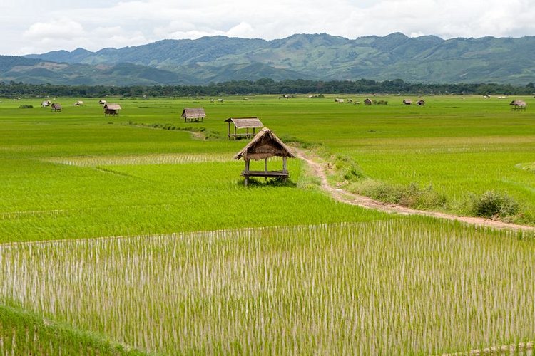 Luang Namtha et la région Nord du Laos