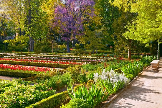 Jardin botanique royal de Madrid