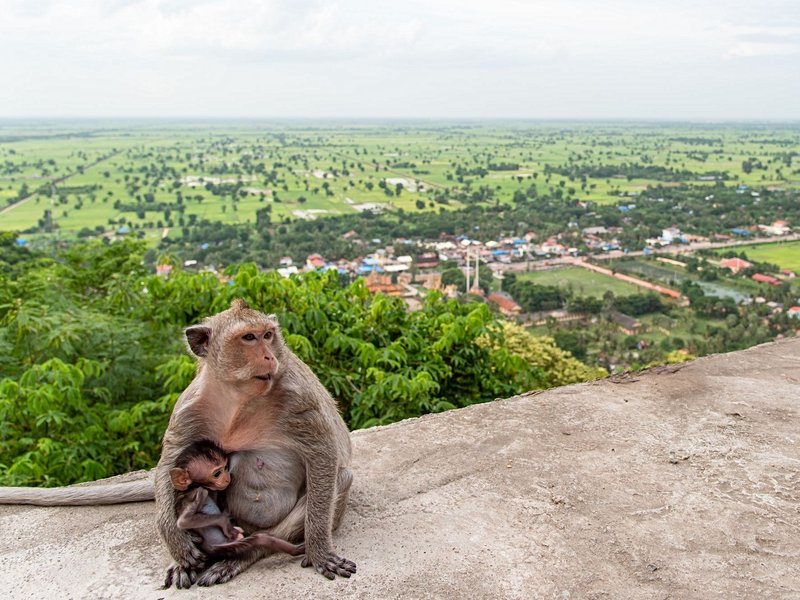 Phnom Sampeau