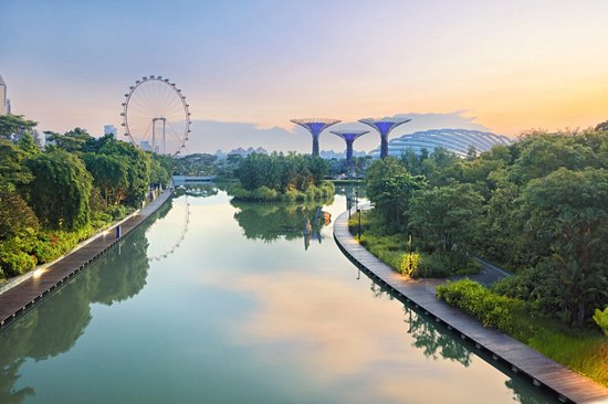 Gardens by the Bay