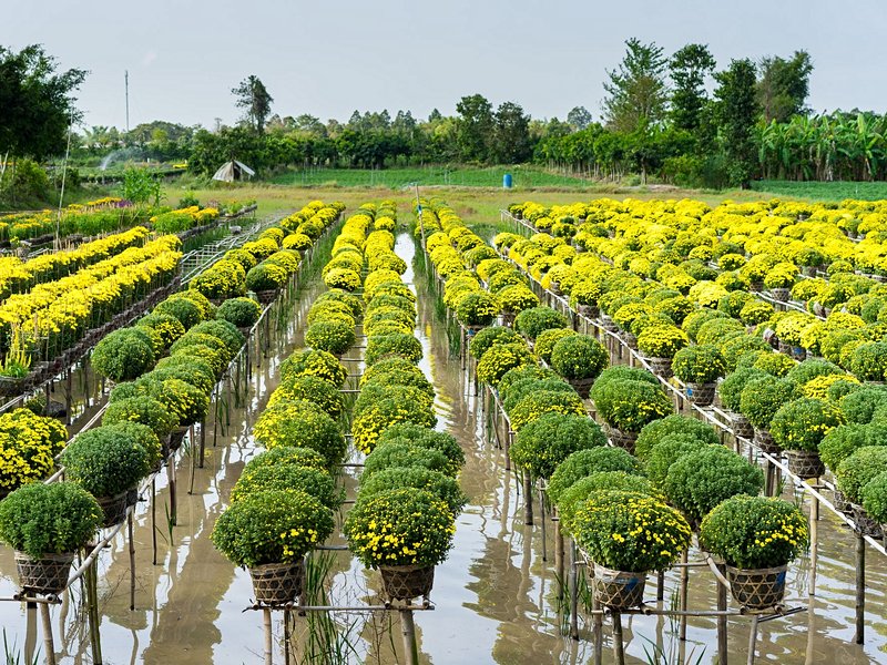 Sa Dec et la maison de Huynh Thuy Le