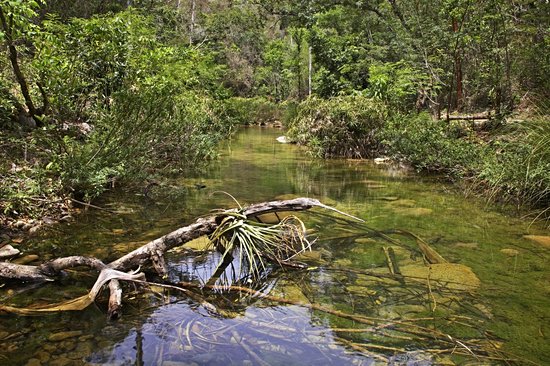 El Cubano Natural Park