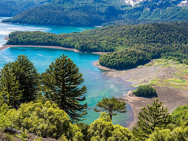 Parc national Conguillío