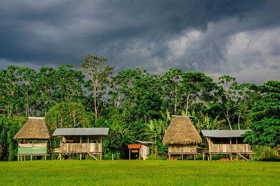 Parc national Yasuni