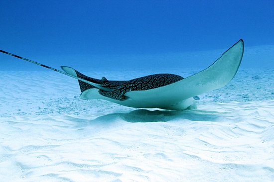 Cozumel
