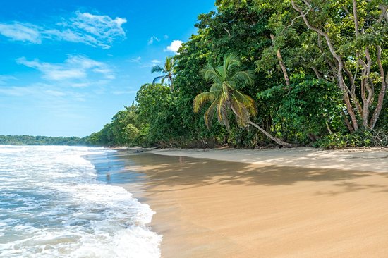 Cahuita et la côte caraïbe