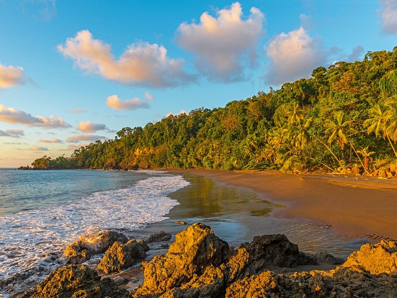 Tendance absolue : Tamarindo
