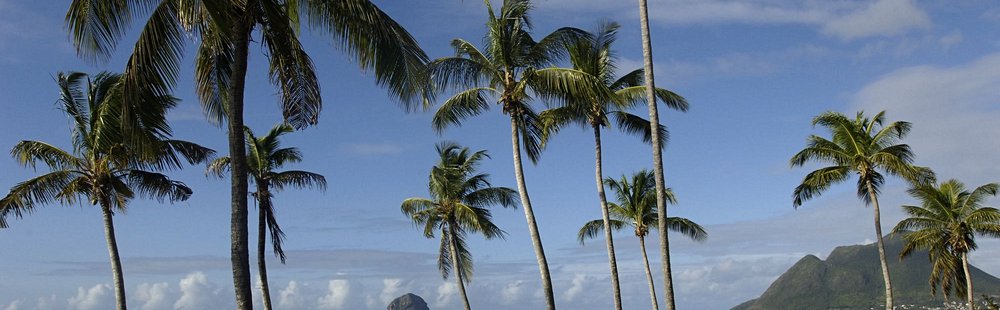 Plage et rocher du Diamant