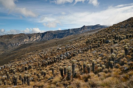 Parc national de la Sierra Nevada del Cocuy