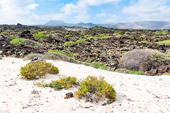 Caleta del Mojón Blanco