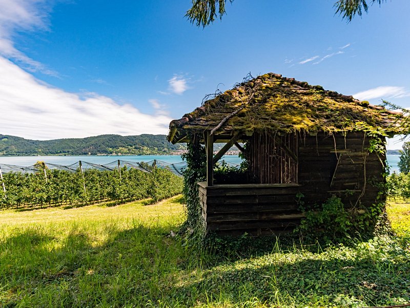 La rando lacustre : le chemin du lac, au bord du lac de Constance