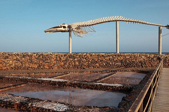 Musée des Salines