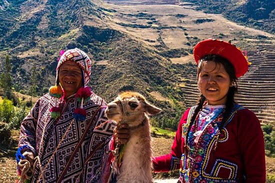 Voir des lamas
