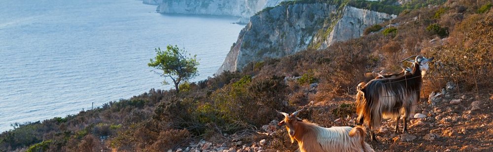La randonnée au centre de l'île ou sur les côtes