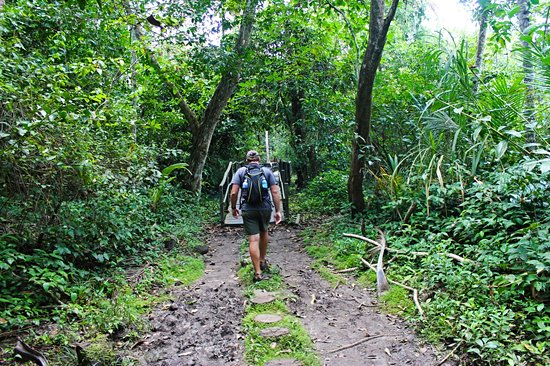 Le Parque Nacional Cahuita