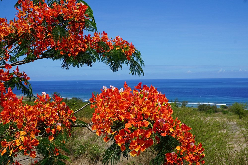 Réunion au mois de  décembre