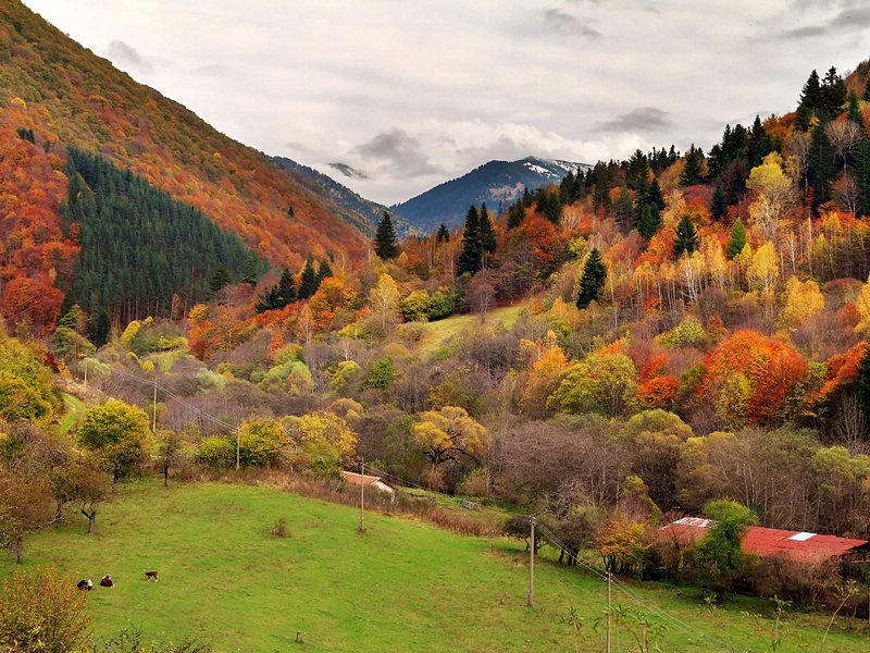 Parc national de Rila