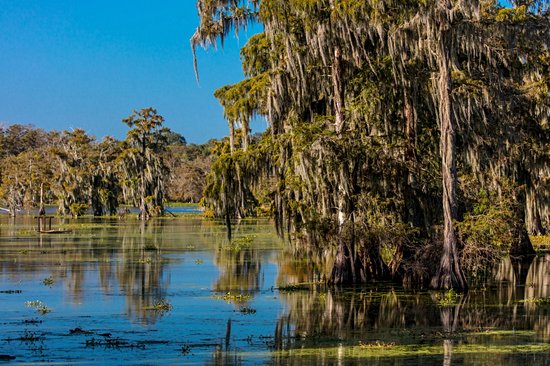 Le pays cajun
