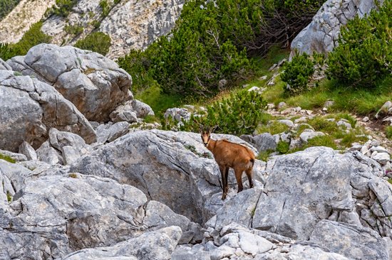 Parc national du Pirin