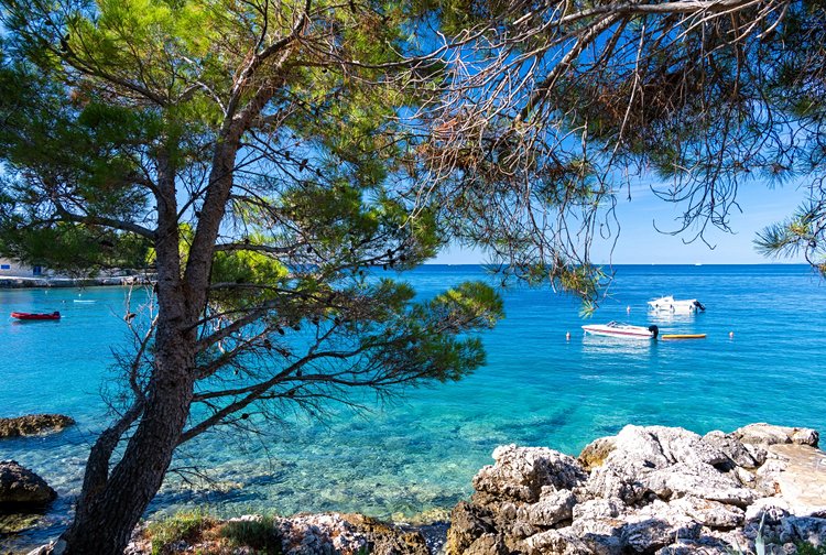 Les îles de l’archipel de Zadar 2