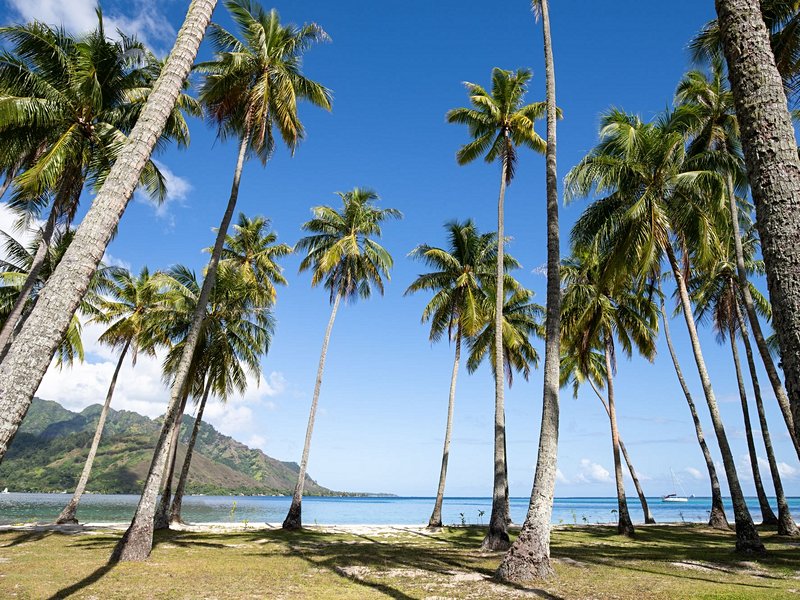 Plage Publique de Ta'ahiamanu