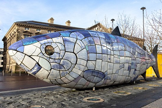 The Big Fish, le poisson bleu de la sagesse