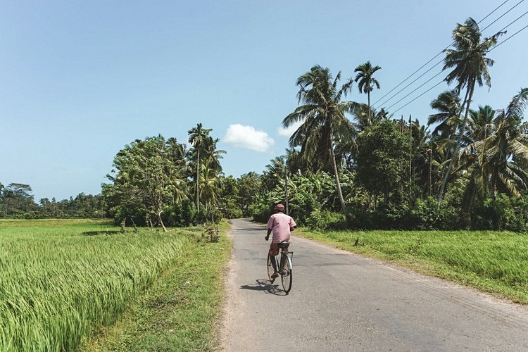 Sri Lanka 2